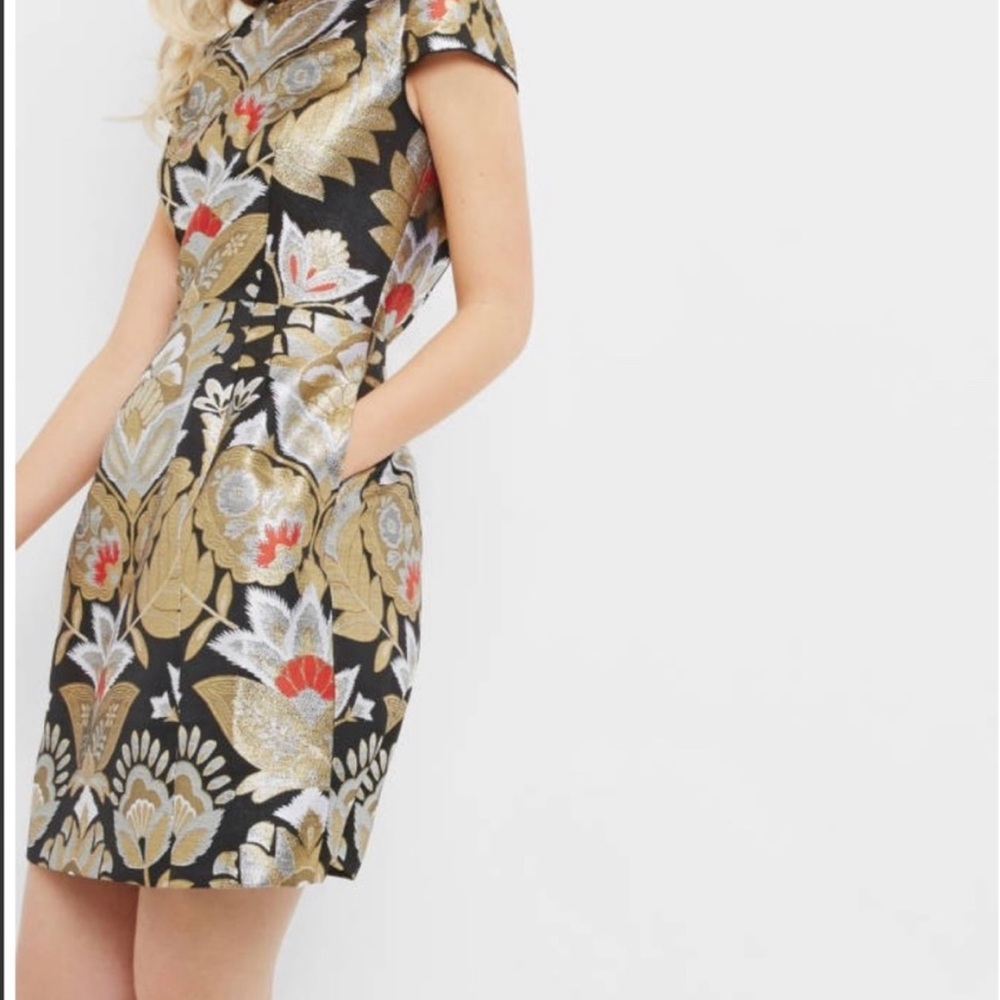 Never been worn Ted Baker Formal Dress